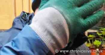 Distraction burglars stole £5,000 after claiming to be from Northumbrian Water