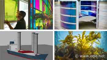 Seaweed animal feed and solar panels made from waste fruit: The best green innovations of January 2021