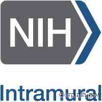 AI Tools Provide Picture of Cervical Health