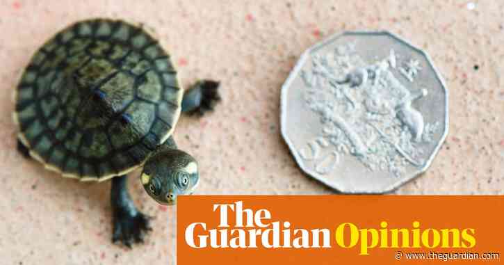 I changed my banking and super out of climate anxiety. Was it a smart financial decision? | Jessica Hamilton