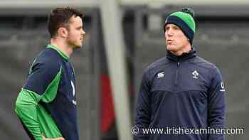 Paul O'Connell enjoying challenge of coaching return - Irish Examiner