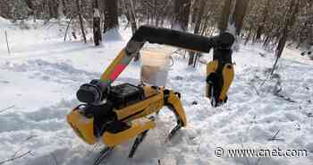 See Boston Dynamics' Spot robot dog play jump rope and pick up laundry     - CNET