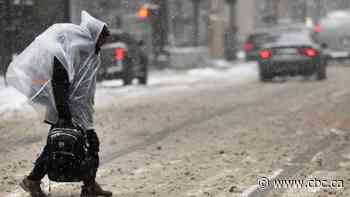 Major storm hits U.S. Northeast, more than 50 cm of snow forecast in some parts