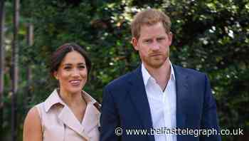 Harry’s original statement ‘unduly tendentious’ – Judge