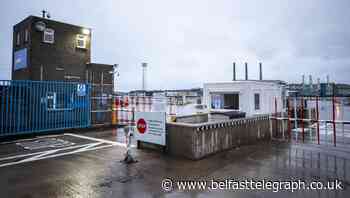 Council staff pulled from inspection duties at Larne Port for their own safety
