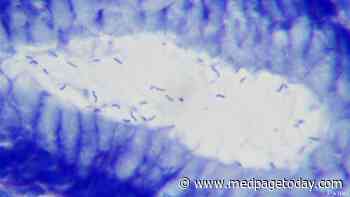 AGA Updates Guidelines for Refractory H. Pylori