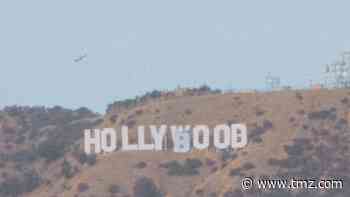 Hollywood Sign Altered to 'Hollyboob' for Illegal Breast Cancer Awareness Stunt