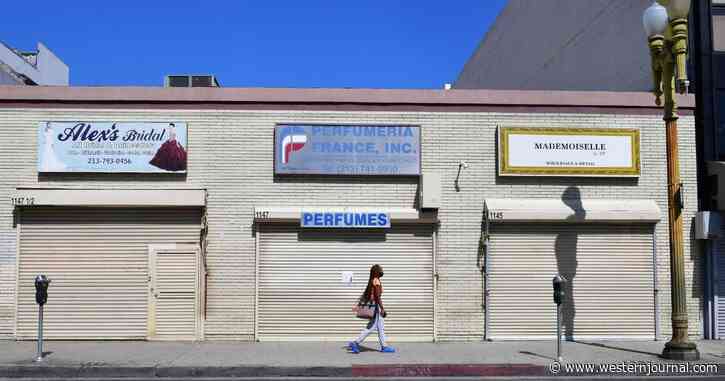 Young Not Stupid: While CA Closed Down Businesses, They Put Billions of Dollars Into the Hands of Criminals