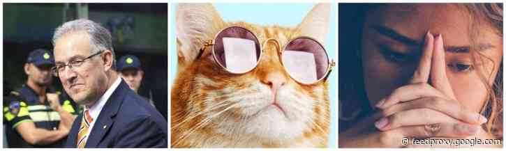 10x populair: online trends, verprutste teksten & burn-outs