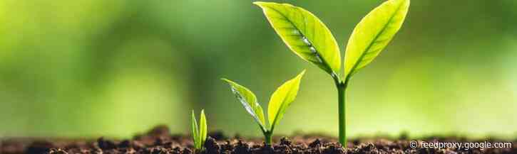 Het VINC-model: een eigentijds alternatief voor de 4 P’s