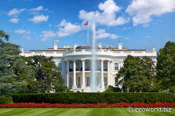 White House: The Presidents of the USA and their adorable dogs - CEOWORLD magazine