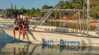 Dream Planning: How This Intrepid Entrepreneur Turned Her Fantasy Into A Honduran Dive Shop - Forbes