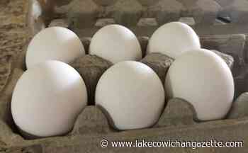 Not enough local eggs to meet demand: officials – Lake Cowichan Gazette - Lake Cowichan Gazette