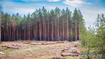 Landmark review calls for nature to be included in economic decision making