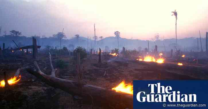 Economics' failure over destruction of nature presents ‘extreme risks’