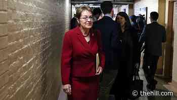 The Memo: Ohio Dem says many in party 'can't understand' working-class concerns