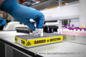 Testing to find South African coronavirus variant gets underway