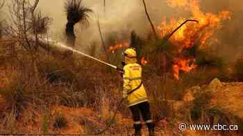 Out-of-control Australia wildfire destroys dozens of homes