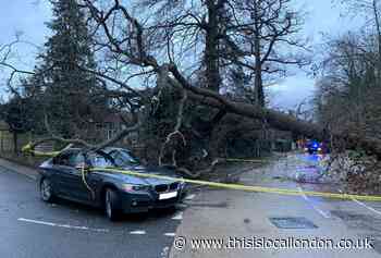 Tree falls across road on to car windscreen in Eastcote