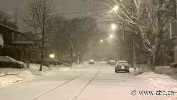 Snow and high winds hit Maritimes, closing schools across the region