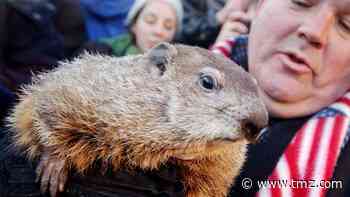 Punxsutawney Phil Predicts More Winter on Groundhog Day 2021