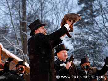 ‘Every day feels the same’: Groundhog Day feels bleaker than ever as rodent says 6 more weeks of winter