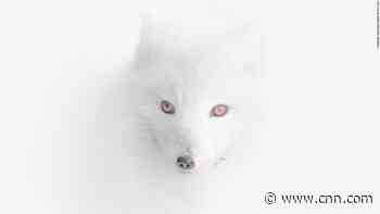 Incredible Travel Photographer of the Year pictures revealed