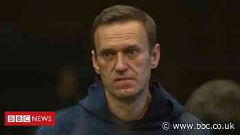 Putin critic Navalny jailed in Russia despite protests