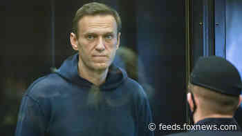 Putin critic Navalny sentenced to prison