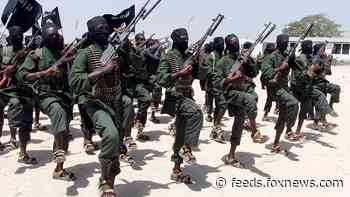 Somalia's al-Shabab rebels attack hotel in Mogadishu