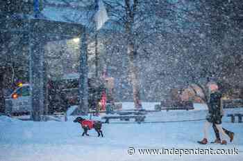 Orlena was not the kind of winter storm you pop out for a coffee in