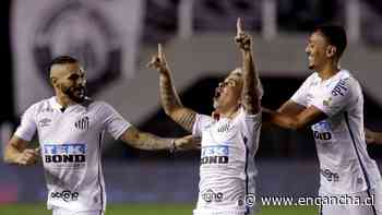 [VIDEO] Mira los 20 goles que llevaron al Santos a la final de la Copa Libertadores - EnCancha.cl