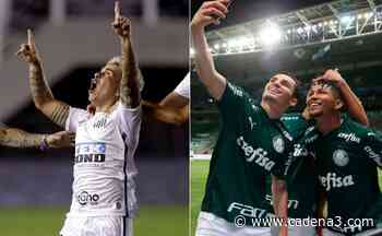 Santos y Palmeiras: las claves de los finalistas de América - Cadena 3