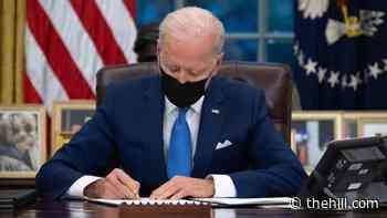 Biden on immigration orders: 'I'm eliminating bad policy'