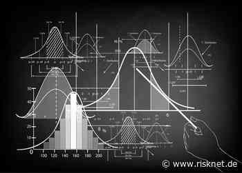 Grenzen einer qualitativen Risikobewertung - RiskNET