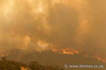 71 homes destroyed as Australia bushfire rages near locked-down Perth