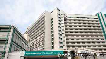 Prelievo di organi a cuore fermo: prima volta all'ospedale Maggiore di Bologna - il Resto del Carlino