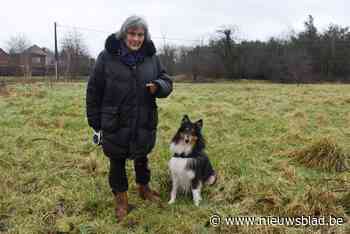 Opnieuw verzet tegen verkavelingsproject Kater@ in Mol