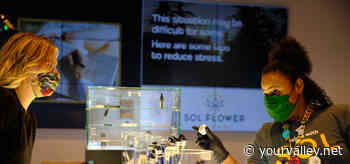 Sol Flower facilities now catering to both medical, recreational cannabis clients - Your Valley