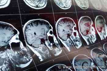 Canon Medical expands reach of its MRI artificial intelligence programs - FierceBiotech