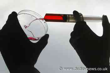 Vaccines for new coronavirus strains 'can be created in weeks' - Dudley News