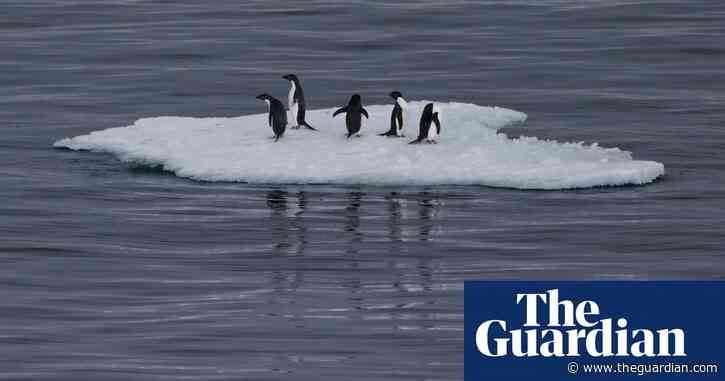 Terrawatch: the adventurous icebergs that trigger ice ages