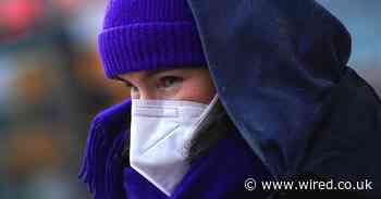 What are N95 and FFP2 face masks and do you really need them?