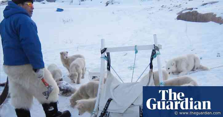 Staying with a hunter showed me Greenland beyond the tourist brochures