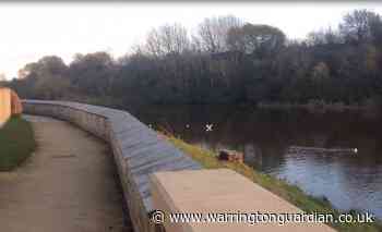 Weir Lane lockdown walk video in Woolston, Warrington