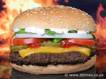 McDonald's does trial run of its 'McPlant' burger in Sweden and Denmark