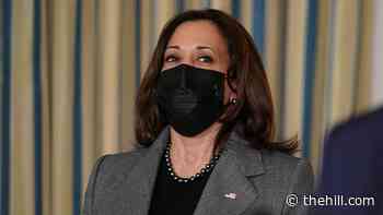 Kamala Harris is constant on-camera presence for Biden