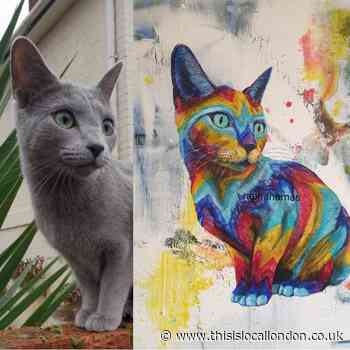 Stray cat becomes artist's lockdown model