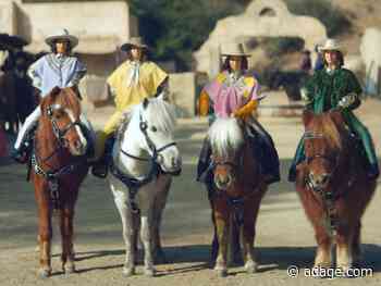 Buy now, pay later firm Klarna makes Super Bowl debut with Maya Rudolph