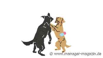 Wie kann eine Gründerin aus ihrem Start-up aussteigen?